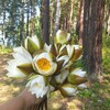 Логотип телеграм канала @magia75anna — Магия🦋будней..