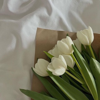 Логотип телеграм канала @magic_blog_woman — Magic blog for woman ✨