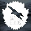 Логотип телеграм -каналу magic_birds — Магічні Птахи