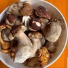 Logo of telegram channel magicmunchiess — Magic Mushrooms