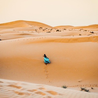 Логотип телеграм канала @magicoasis — Волшебный оазис