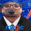Logo of telegram channel magictyy — M A G I C 🤍 - @Magictyy