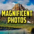 Logo saluran telegram magnificent_photos — Magnificent Photos 🦋