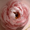 Логотип телеграм канала @magnoliacandlesss — Магнолия ⚘ свечи~цветы | десерты