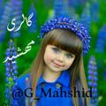 لوگوی کانال تلگرام mahshid04 — گالری مهشید ( پوشاک بچه گانه )