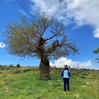 لوگوی کانال تلگرام mahsoov — Mahsa Vahdat