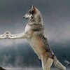 Логотип телеграм -каналу majstrenkooo — уріло