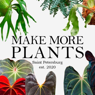 Telegram channel Make More Plants | Санкт-Петербург logo