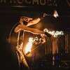 Логотип телеграм канала @makedonlive — Makedonsky Live