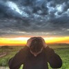 Логотип телеграм канала @maks_trofimchik — трфмчк