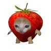 Логотип телеграм канала @maksimchikfamily — Кукусики🍓