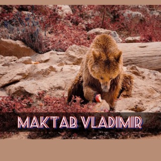 لوگوی کانال تلگرام maktabvladimir — Maktab Vladimir | مکتب ولادیمیر