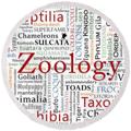 Telegram kanalining logotibi malaksalahcu — Zoology