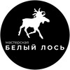Telegram channel Malarova logo