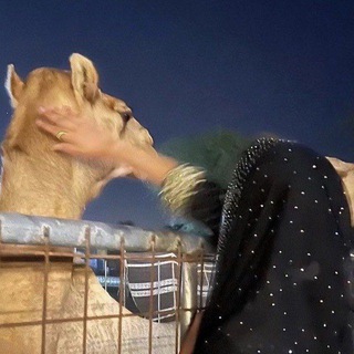 لوگوی کانال تلگرام mali1996 — A🇶🇦