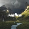 Telegram kanalining logotibi malikades — malika.des