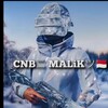 Logo of telegram channel malikstorereal — 𝐌𝐀𝐋𝐈𝐊 𝐒𝐓𝐎𝐑𝐄 𝐑𝐄𝐀𝐋🇵🇱