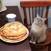 Логотип телеграм канала @malinkaspbb — в питере любят
