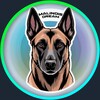 Логотип телеграм канала @malinois_dream — Malinois Dream