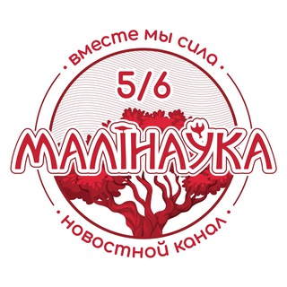 Логотип телеграм канала @malinovka6news — Малиновка 5/6 News
