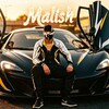 Логотип телеграм канала @malishff — Malish