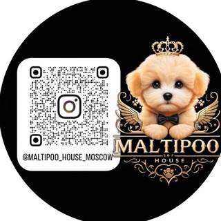 Логотип телеграм канала @maltipoo_house — Мальтипу щенки, maltipoo f1, помощь новичкам выбрать щенка и поддержка после покупки