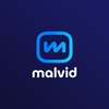 Логотип телеграм канала @malvidit — Malvid (Малвид)