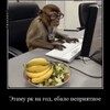 Логотип телеграм канала @mamontynokrekt — Oracle