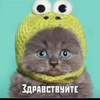 Логотип телеграм канала @mandramandra — Mandragora