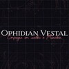 Логотип телеграм канала @maneskinw — måneskin | moonlight ♡ | Ophidian Vestal