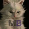 Telegram channel Розыгрыши Мангабафф logo
