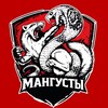 Логотип телеграм канала @mangustzzzz — МАНГУСТЫ