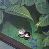 Логотип телеграм канала @manhvaani — Grubby Domination | Манхвы спойлеры 🌿