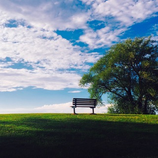 Telegram арнасының логотипі mani_raad — مانی راد