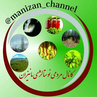 Logo saluran telegram manizan_channel — نوسـتالژی مانیـــــزان