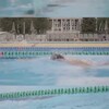 Логотип телеграм канала @mannanovswimchannel — Elementum Aquaticus