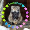 Логотип телеграм канала @manul_timofey — ❤️𝕄𝕒𝕟𝕦𝕝 𝕋𝕚𝕞𝕠𝕗𝕖𝕪 - 𝕄𝕠𝕤𝕔𝕠𝕨 ℤ𝕠𝕠❤️