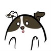 Logo of telegram channel maplestarb — Totonito