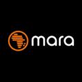 Logo saluran telegram maraannouncements — 📢 The Maraverse Announcement Channel