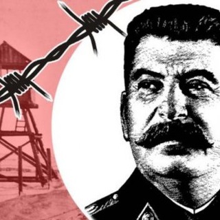 Логотип телеграм канала @marazmrt — Хроники Маразма