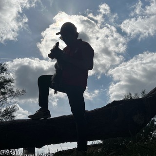 Logo of telegram channel marcvidal_telegram — Marc Vidal