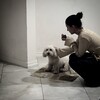 Логотип телеграм канала @mari_vard — the mari |.