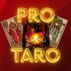 Логотип телеграм канала @marimirtaro — МАША ПРО ТАРО