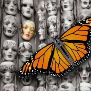 Telegram channel Mariposas Elitistas logo