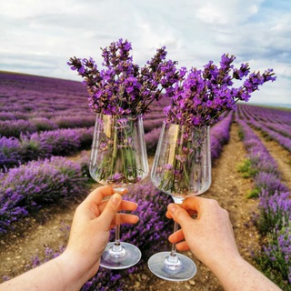 Логотип телеграм канала @maritravelworld — Mari.Travel