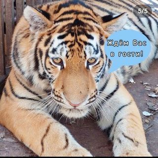 Логотип телеграм канала @mariupol_zoopark — Мариупольский зоопарк