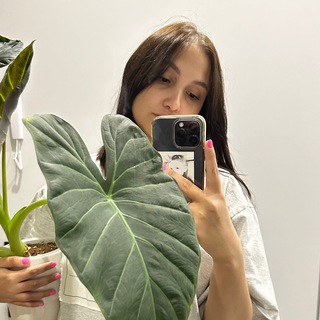 Telegram channel Mari’s plants 🪴 logo