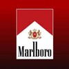 Telegram channel MarlboroNFT logo