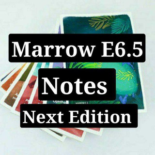 Logo of telegram channel marrow_notes — Marrow Notes Edition 6.5 Marrow notes