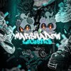 Logo of telegram channel marshadow_logistics — Marshadow logistics